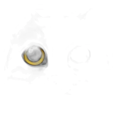 cat grey and withe with grey dot on the nose sticker