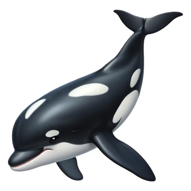 Killer whale  sticker