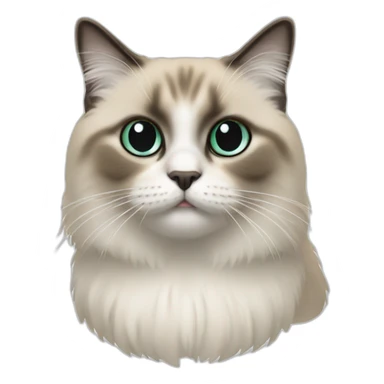 Chat sacré de Birmanie sticker