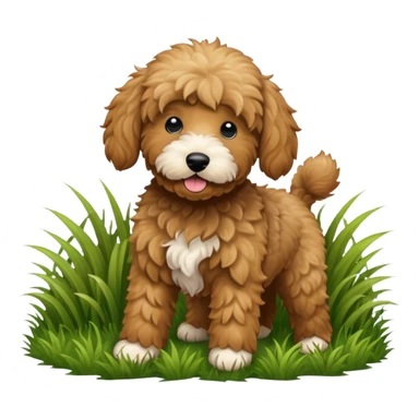 Black golden doodle that played in the grass  sticker