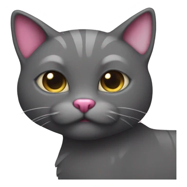 dark gray Shodlan fold cat with pink heart sticker