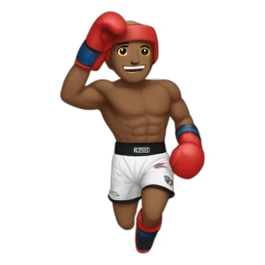 Kick boks sticker