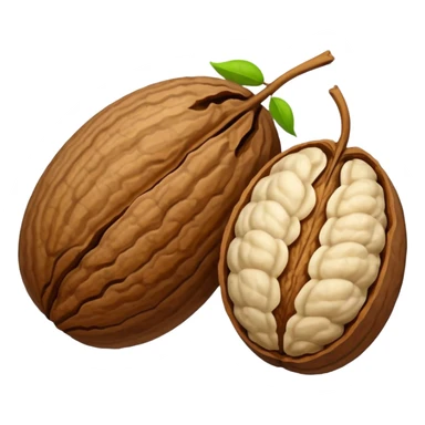 walnut seed of the walnut tree. no face! sticker