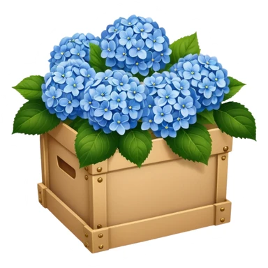 realistic hydrangeas in a box sticker