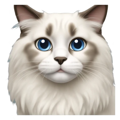 Ragdoll cat sticker