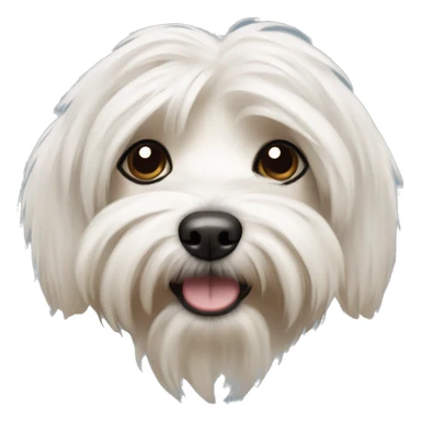 Havanese dog sticker