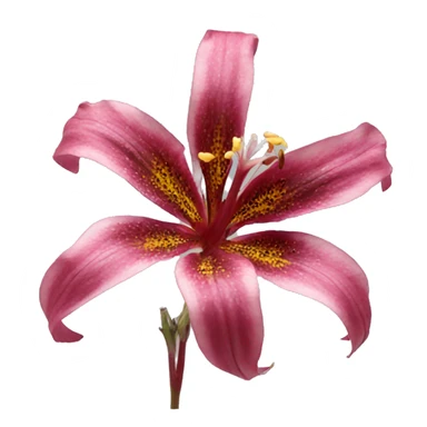 Gloriosa sticker