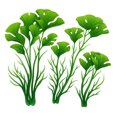 2-3 pair of green seaweed sticker