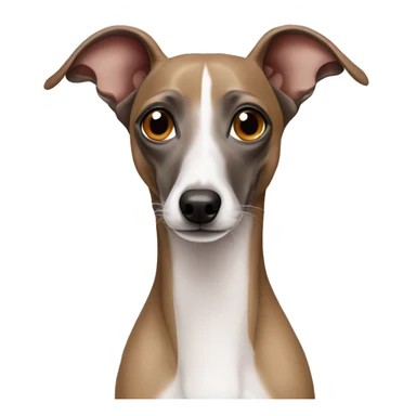 Italian greyhound sticker