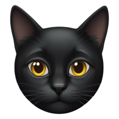 Black cat with only right eye sticker