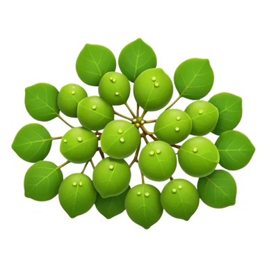 sea grape which is green looking like a grape. but way more tiny ones sticker