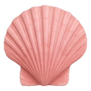 pink seashell sticker