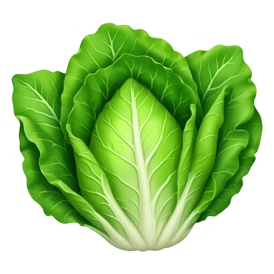 lettuce single  leaf  sticker