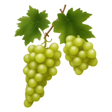 Chardonnay Grape sticker