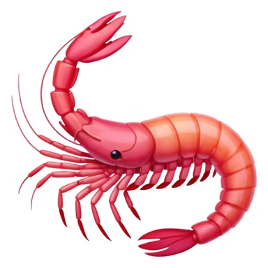 shrimp sticker