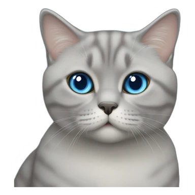 british shorthair cat with blue eyes sticker