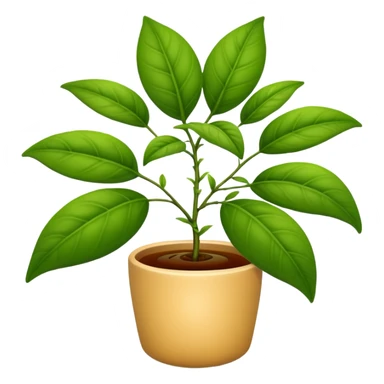 tea plant sticker