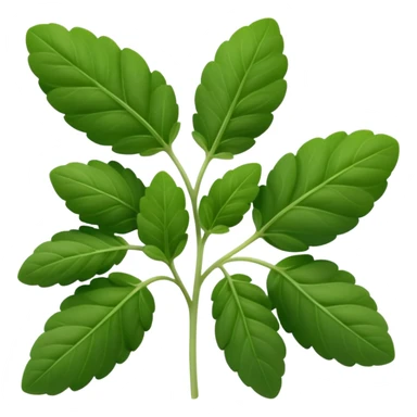 small sprig of fresh oregano with oval slightly fuzzy green leaves on thin tender stems, leaves clustered and layered with subtle natural curves and soft midrib veins, color ranges from vibrant to muted green, no pot scissors or extras, apple emoji style, soft lighting, subtle shadows, emoji scale sticker