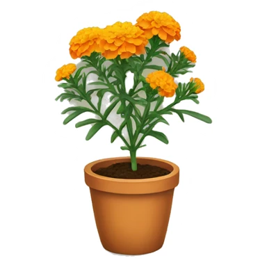 Marigold plant  sticker