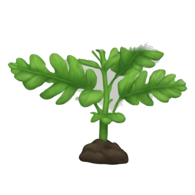 Rue plant sticker