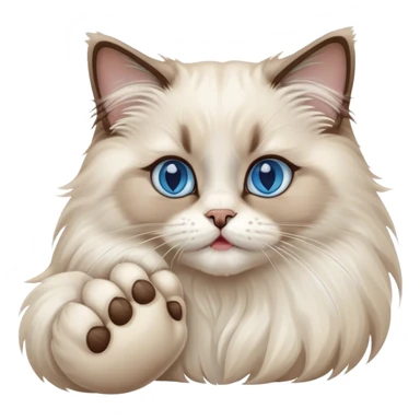 ragdoll Cat licks its paw  sticker