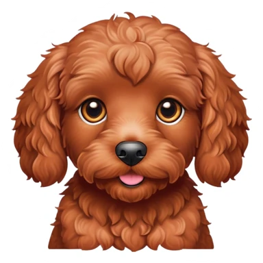 Red cockapoo  sticker
