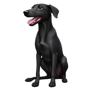 black lab greyhound sticker