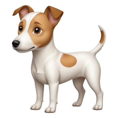 a full body white jack russel looking dog the size of a kelpie with light brown ears and a light brown patch on one eye and a large snout sticker
