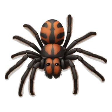 red knee tarantula sticker