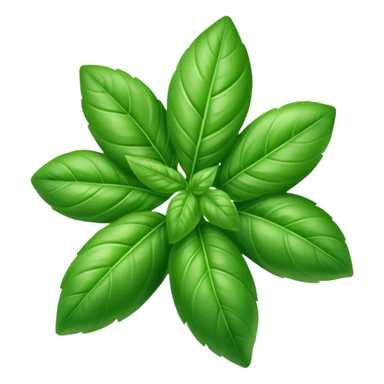 Fresh green basil herb leaf sticker
