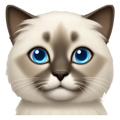 fluffy siamese cat with blue eyes sticker