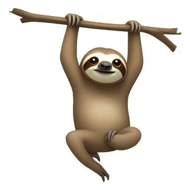 Sloths  sticker