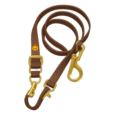 Brown dog leash with golden carabiner and loop sticker