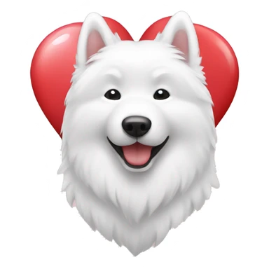 Samoyed with heart sticker