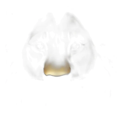 Lion sur lionne sticker