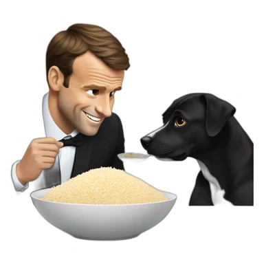 Dog eating a bowl of rice next to Emmanuel Macron sticker
