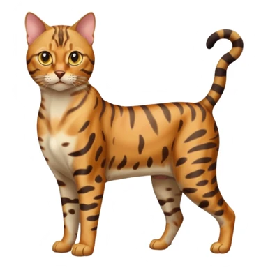 full body of bengal cat, front view sticker