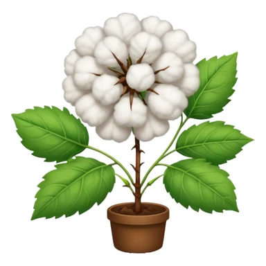 A cotton plant sticker
