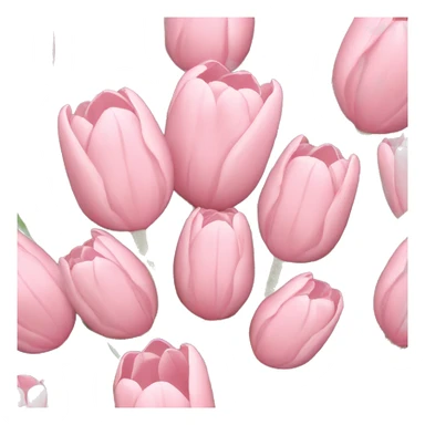 Light pink tulip bouquet  sticker