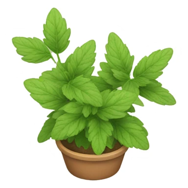 catnip plant sticker