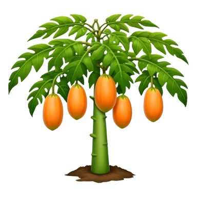Papaya tree sticker
