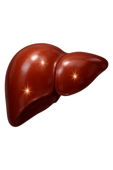 fegato realistico con scintille di brillantezza 3d sticker