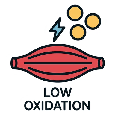 muscles with very low oxidative capacity, fat molecules around struggling to enter, medical infographic style, neutral colors, anatomical details, explanatory icons, short text like 'low oxidation', white background sticker