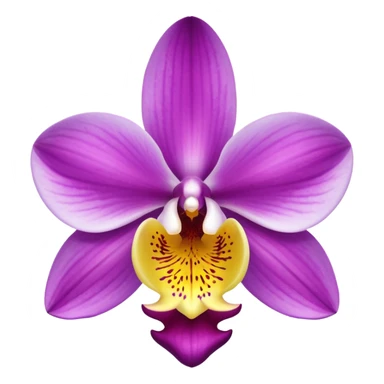 Orchid sticker