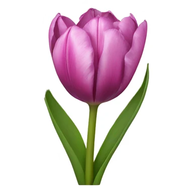 Tulipan sticker
