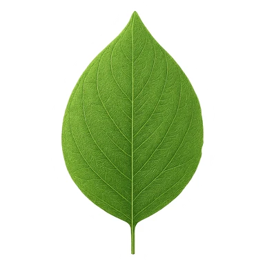 nature leaf sticker