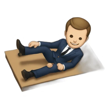 Macron sur un tatamis  sticker