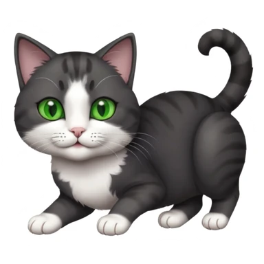 beautiful female solid dark grey cat with green eyes, white toes/paws and white patch on her chest playfully rolling upside down sticker