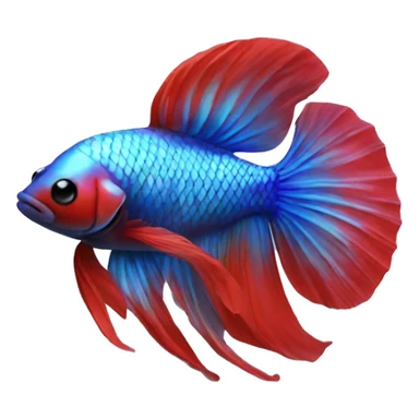 Iridescent beta fish blue body red tail sticker