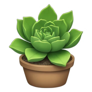 Succulent sticker